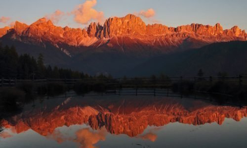 King Laurin und sein Rosengarten