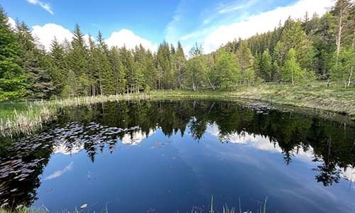 Stupendi laghi e stagni attorno all’Alpinhotel Vajolet a Tiers!