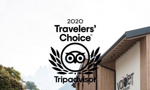 Travellers Choise Award 2020